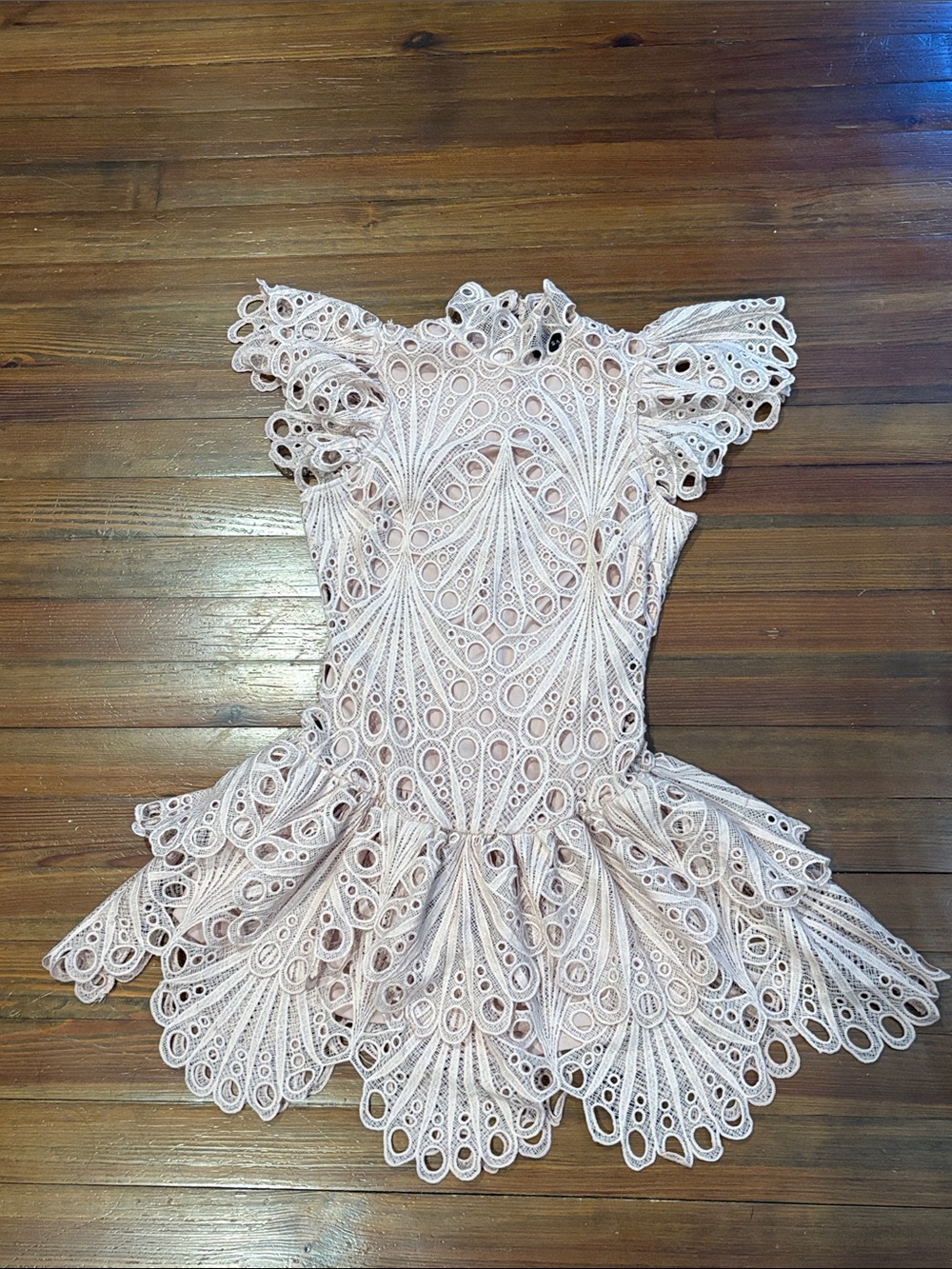 Scalloped Lace Mini Dress in Blush Pink